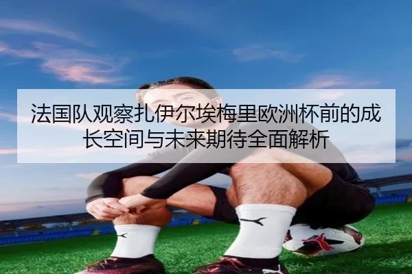 法国队观察扎伊尔埃梅里欧洲杯前的成长空间与未来期待全面解析